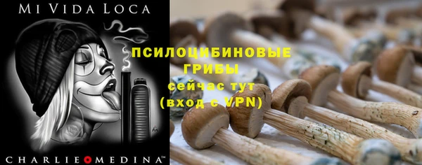 гидра Кинешма