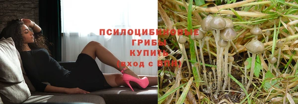 гидра Кинешма