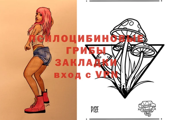 гидра Кинешма