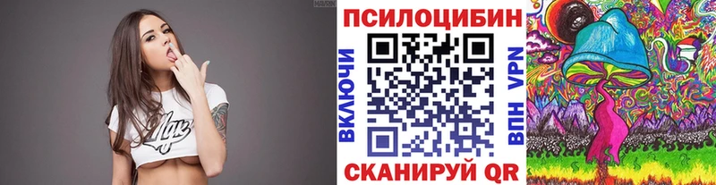 Псилоцибиновые грибы мухоморы  Купить закладки  Плавск 